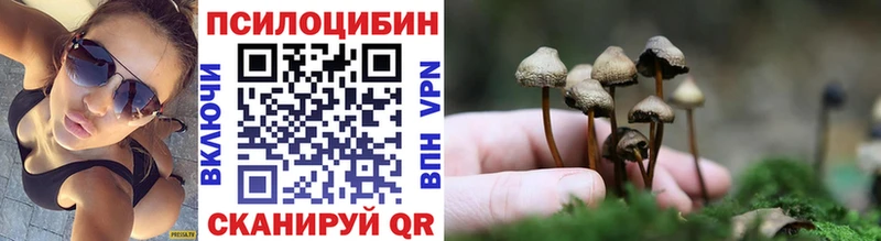 Галлюциногенные грибы Psilocybine cubensis  Краснотурьинск 