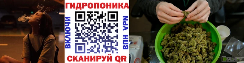Конопля марихуана Краснотурьинск